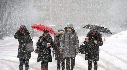 жълт код пазарджик пловдив смолян кърджали