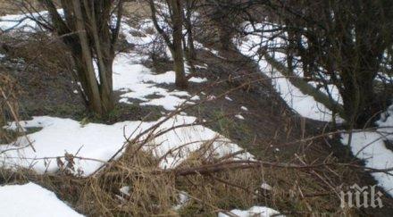 селата поречието дунав община гулянци заплашени наводнения