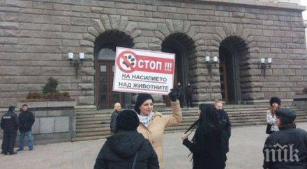 протестиращи поискаха създаване зоополиция снимки