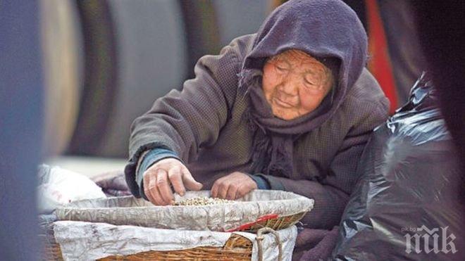 Повече от 250 000 българи ще получат хранителни помощи на есен