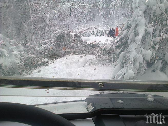 Бедственото положение в Кърджалийска област е отменено, но хората все още са без ток и вода (обзор)