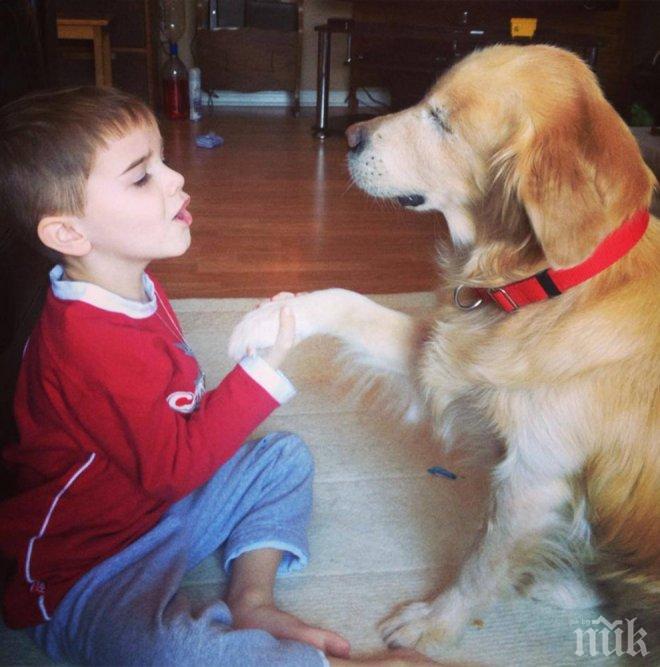 Трогателно! Куче без очи помага на стотици (снимки)