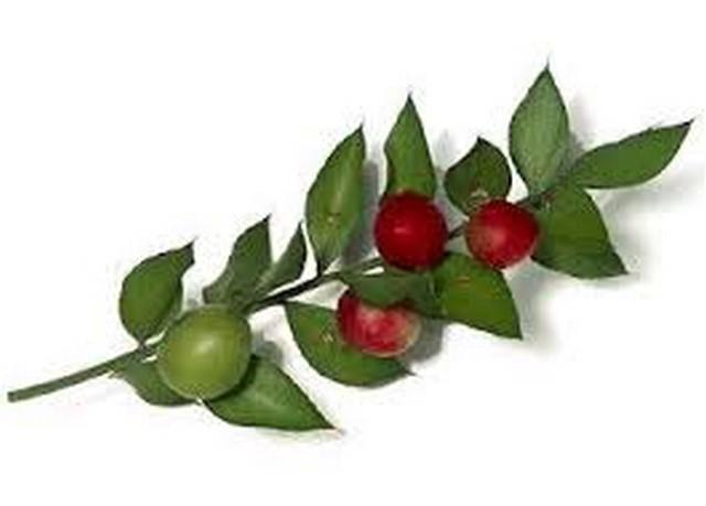 Хайка по цветарските магазини в Перник заради защитено растение