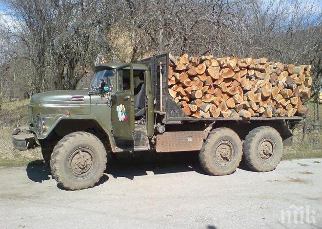 Спипаха трима мъже с крадена дървесина