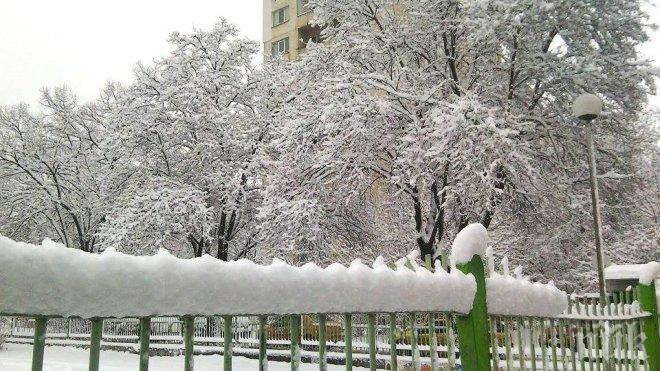 Кметът на Момчилград: Бедственото положение е отменено
