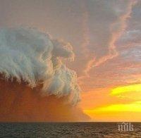 Осем души загинаха по време на циклона на остров Вануату