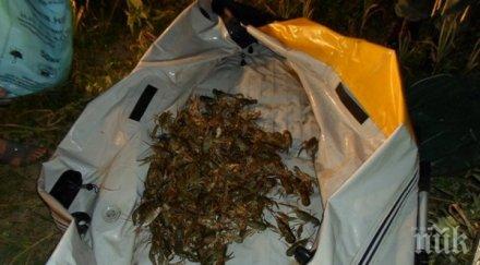 пуснаха свобода бракониерски улов риба раци