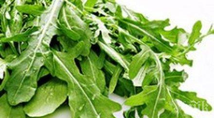 рукола рак дебелото черво