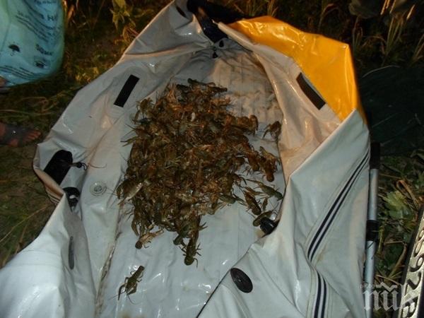 Пуснаха на свобода бракониерски улов от риба и раци