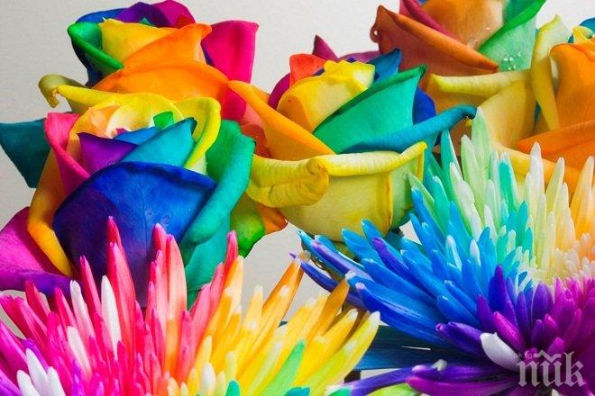 Невероятен тест! Вижте как ви променят цветовете у дома