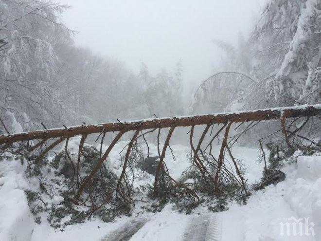 Метеоролози от БАН: Нова аномалия във времето! Утре ни чака августовска жега, но в сряда започват обилни снеговалежи!