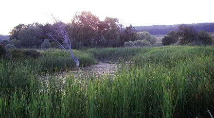 извадиха жена дере