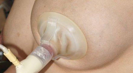 нов бизнес майки продават кърма лева