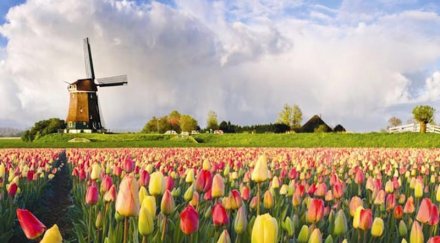 българия разчита новото холандско правителство