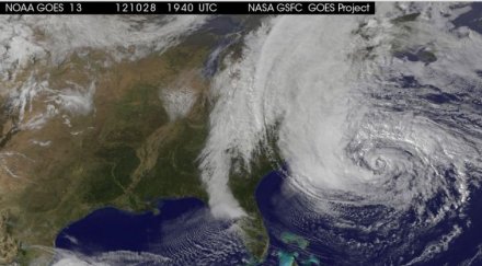 шок заради санди сащ