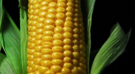 отмъкнаха тона царевица склад