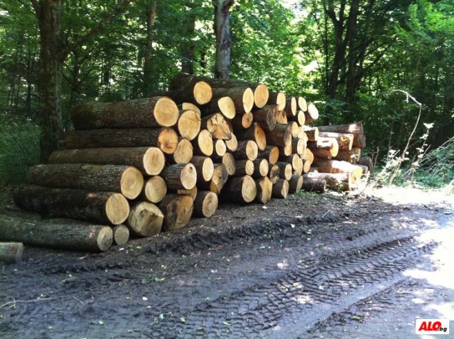 Закопчаха дървен измамник 