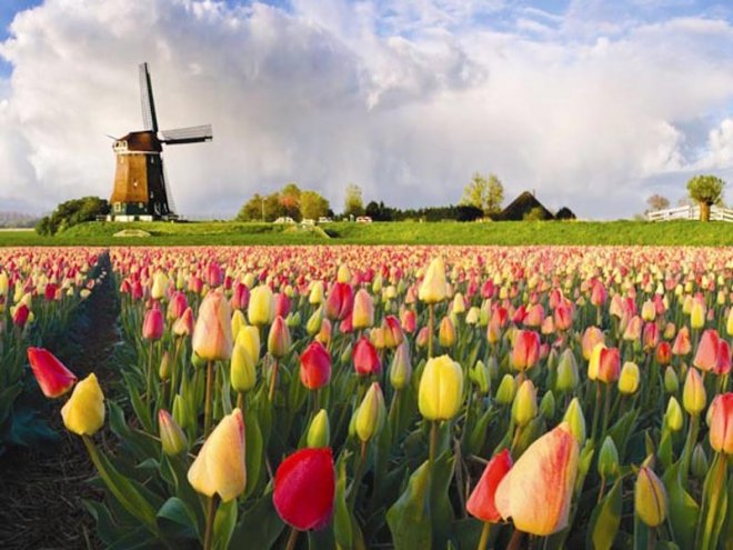 България не може да разчита на новото холандско правителство 