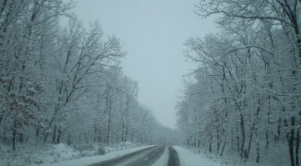 сняг бури удрят половин българия