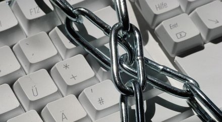 българите ловят новини мрежата