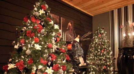 kоледната елха внася дома 000 насекоми