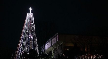 атина без пари елха