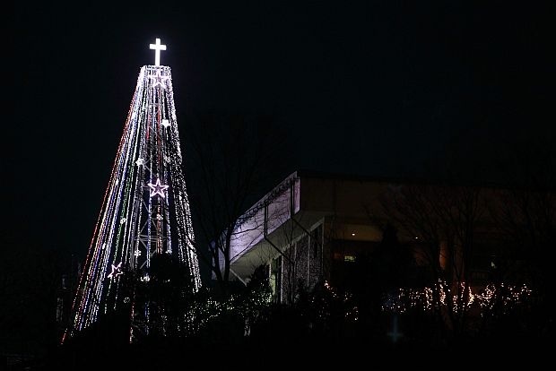 Атина без пари за елха