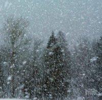 2 млн. лева струва снежното бедствие в Смолян и Кърджали