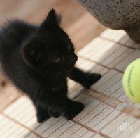 Започнаха записванията за детския тенис турнир в Албена