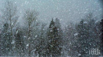 млн лева струва снежното бедствие смолян кърджали