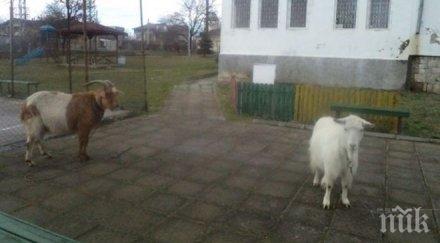 мъж превърна пасища детски площадки варненско село