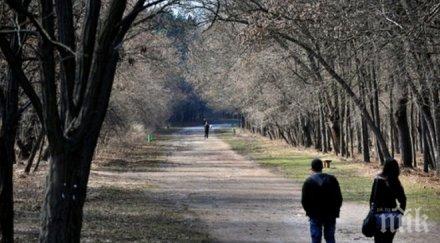 столичната община започва поетапно възстановяване западния парк