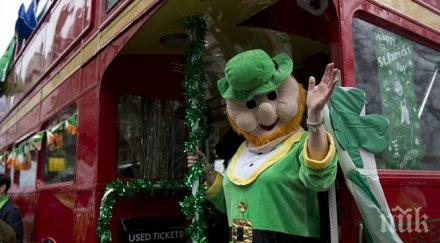 ирландците празнуват свети патрик