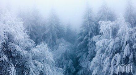 бостън счупи рекорда паднал сняг