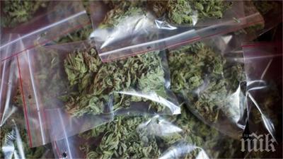 спипаха непълнолетен наркодилър шумен