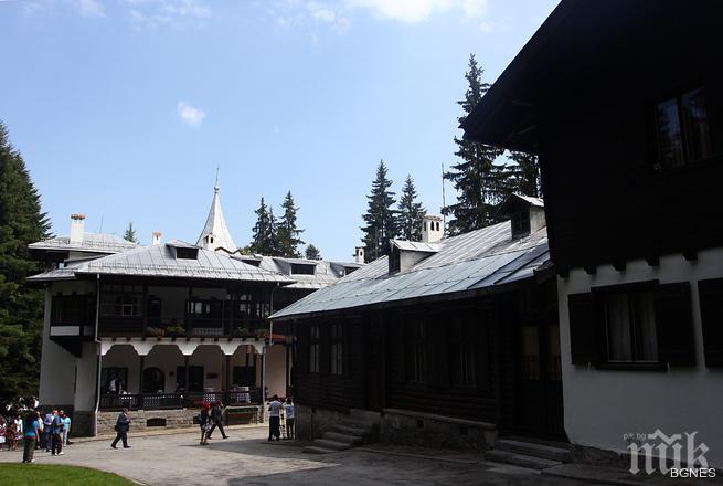 Експертиза: Сакскобургготски прибрал 2,2 млн. от сеч на гори