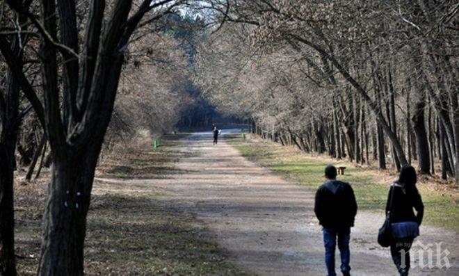 Столичната община започва поетапно възстановяване на Западния парк