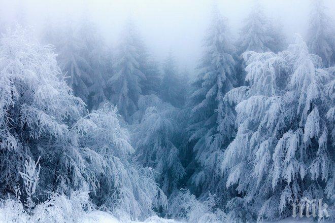 Бостън счупи рекорда си за паднал сняг