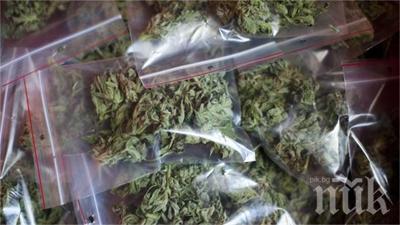 Спипаха непълнолетен наркодилър от Шумен