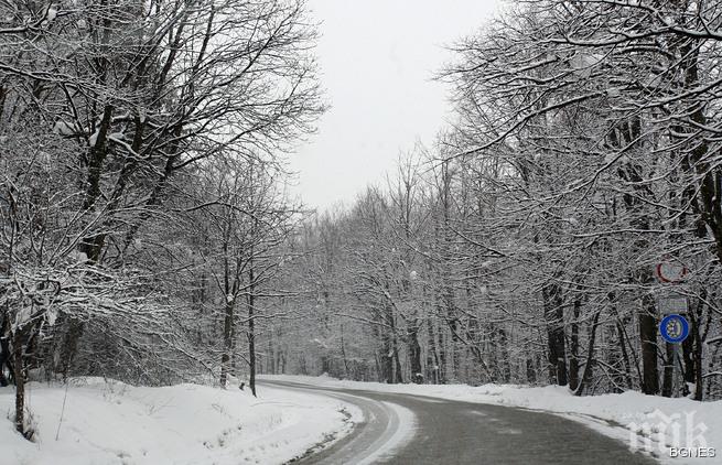 Допълнителното разчистване на снега струвало 24 млн. лева