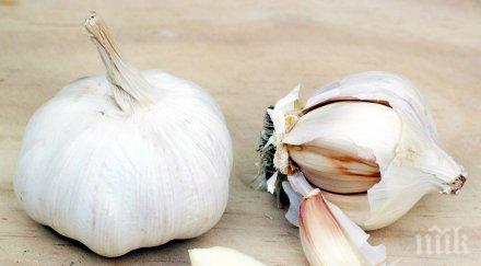 всяка болка билка