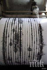 рихтер самоков