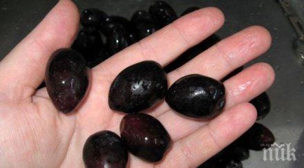 маслините намаляват риска глаукома