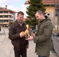 Двоен стандарт ли проявяват 