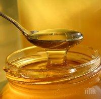 Медът по-добър от антибиотиците
