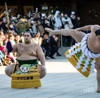 Аоияма с пета победа в Осака, Хакухо още не е шампион