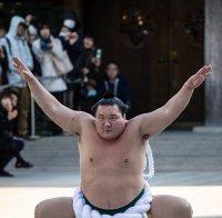 Хакухо не успя да спечели предсрочно Купата на Императора