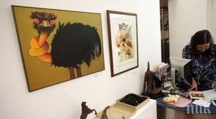 благотворителна изложба събира пари малката еми