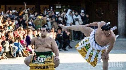 аоияма пета победа осака хакухо шампион