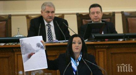 павлова тепърва анализираме щетите снеговете